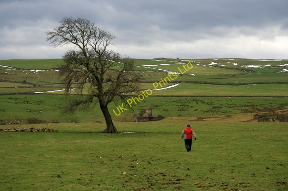 Photo 6"x4" Footpath to Marrick Mills Marrick c2008