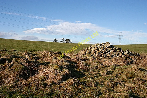 Photo 6"x4" Ruins at Ardonald Ardonald c2008