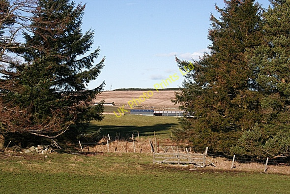 Photo 6"x4" Gap in the Shelter Belt Ardonald c2008