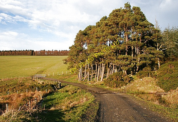 Photo 6"x4" Ford above Edintore Blackhillock\/NJ4348 c2008