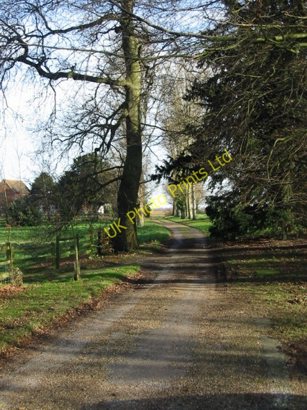Photo 6"x4" Looking NE along the road from Updown House Betteshanger c2008