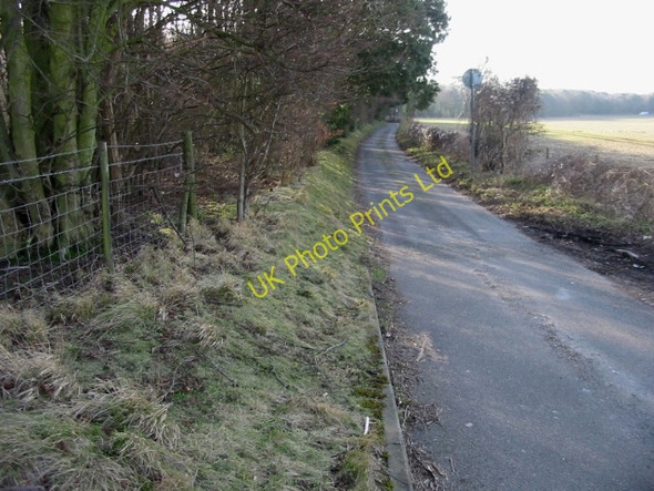 Photo 6"x4" Looking S along road to Betteshanger, Sangrado's Wood on the left Betteshanger c2008
