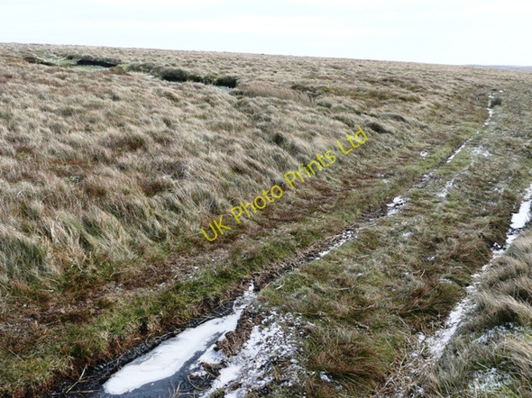 Photo 6"x4" On Cefn Coch Garn-yr-erw c2008
