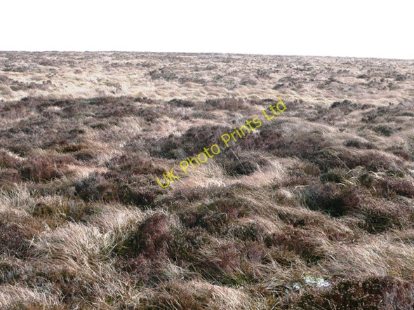 Photo 6"x4" On Mynydd Coety Blaenavon c2008
