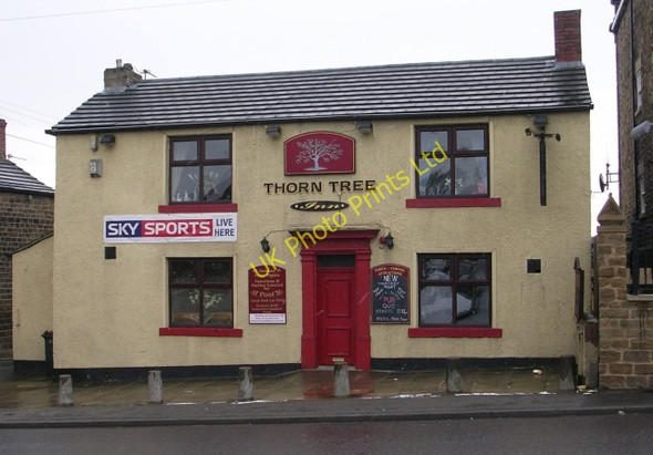 Photo 6"x4" Thorn Tree - Queen Street Ossett c2008