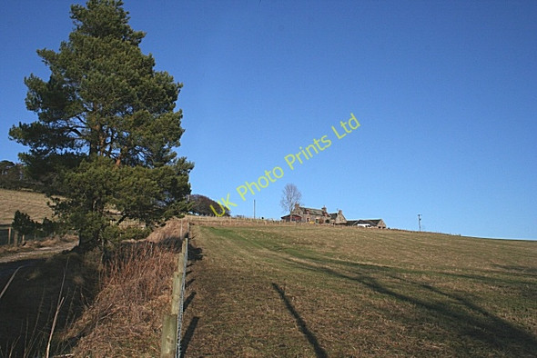 Photo 6"x4" Upper Hilton Haugh of Glass c2008