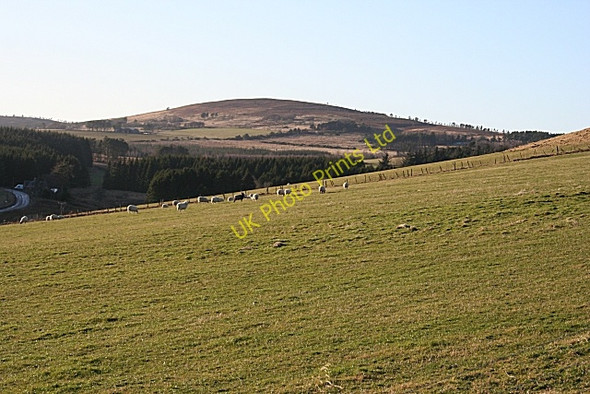 Photo 6"x4" Pasture near Balnacraig Haugh of Glass c2008