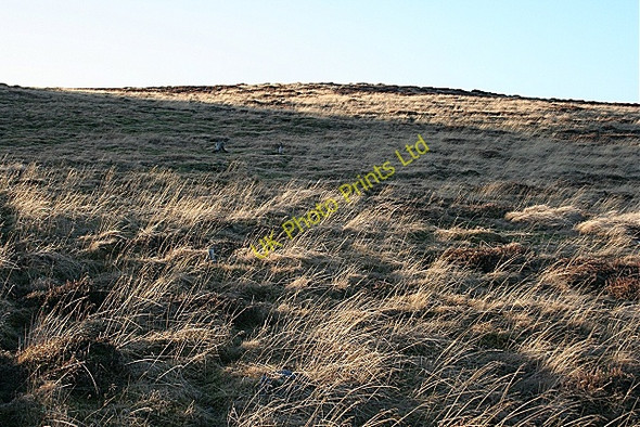 Photo 6"x4" Norry Hill Ardonald c2008