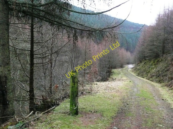 Photo 6"x4" Descending Cwm Big Abertillery\/Abertyleri c2008