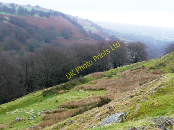 Photo 6"x4" Into Cwm Du Abertillery\/Abertyleri c2008