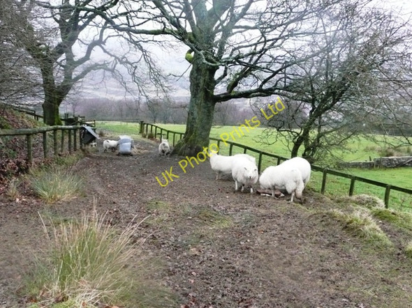 Photo 6"x4" Footpath to Abersychan Abersychan c2008