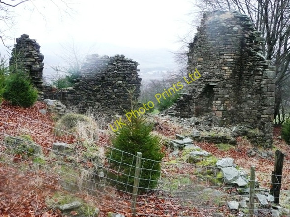 Photo 6"x4" Ruined farm building Abersychan c2008