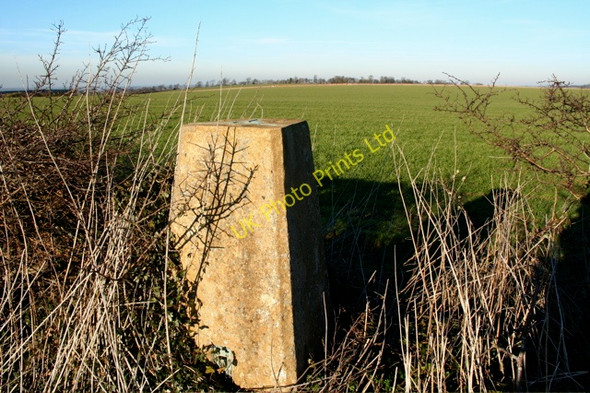 Photo 6"x4" Trig point and field boundaries Little Abington c2008