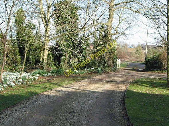 Photo 6"x4" Public road to Minsterworth Elmore Back c2008
