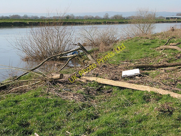 Photo 6"x4" Washed up after the floods Elmore Back c2008