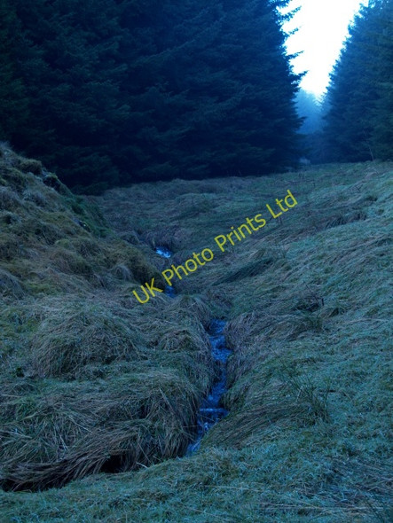 Photo 6"x4" Burn, Aller Cleugh March\/NS9914 c2008