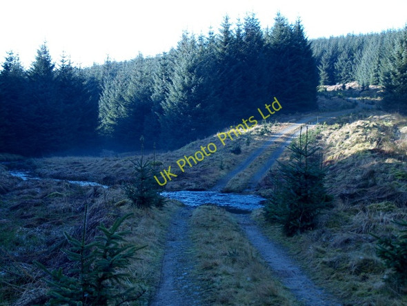 Photo 6"x4" Ford, Fopperbeck Burn March\/NS9914 c2008