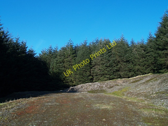 Photo 6"x4" Roadend, Pin Stane March\/NS9914 c2008