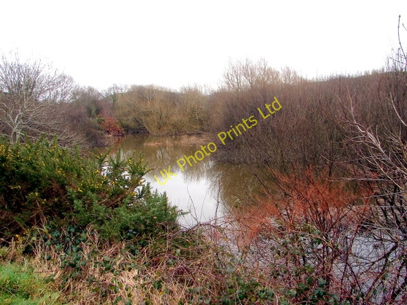 Photo 6"x4" Rheidol Backwater Aberystwyth c2008