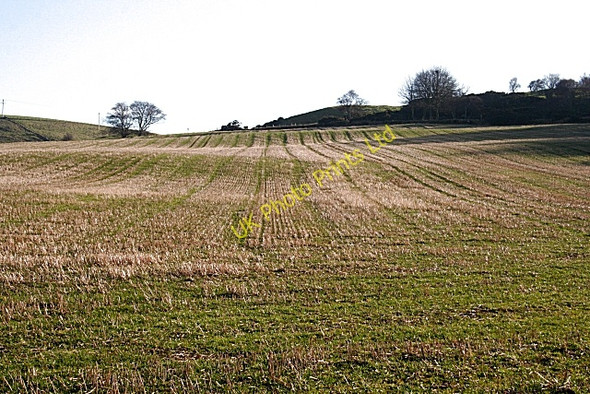 Photo 6"x4" Hill of Alvah Kirktown of Alvah c2008