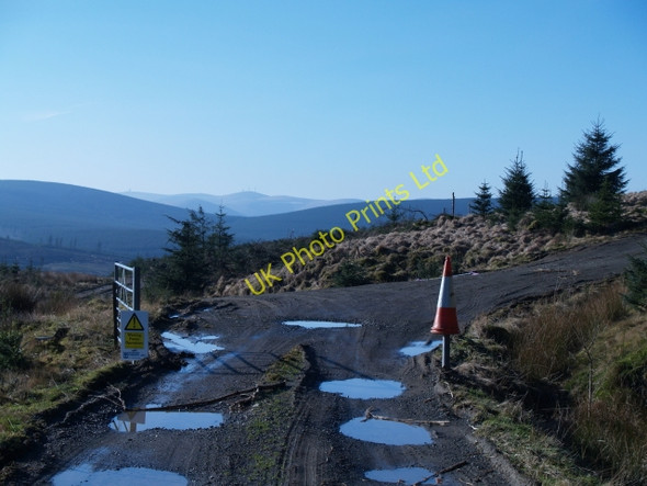 Photo 6"x4" Track junction, Howcleuch Forest March\/NS9914 c2008