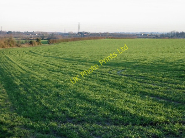Photo 6"x4" View across the fields from Church Street, Woodnesborough Sandwich c2008