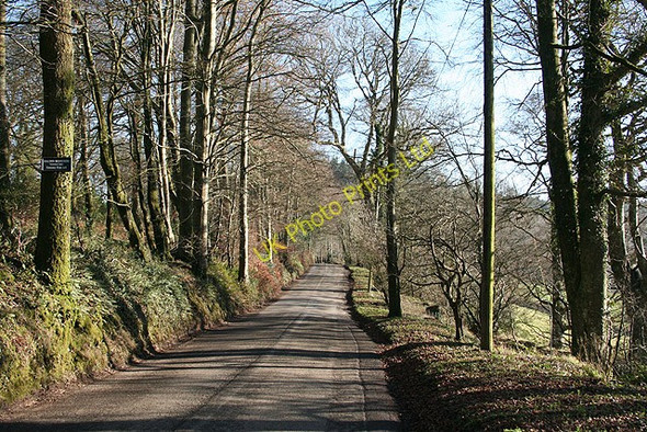 Photo 6"x4" Dunchideock: near Lawrence Castle Dunchideock c2008