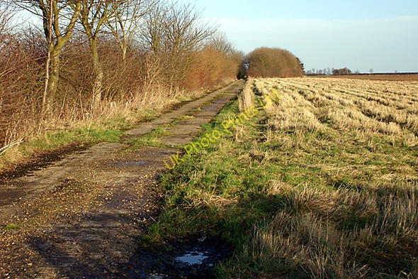 Photo 6"x4" Bridleway to Mill Farm North Elkington c2008