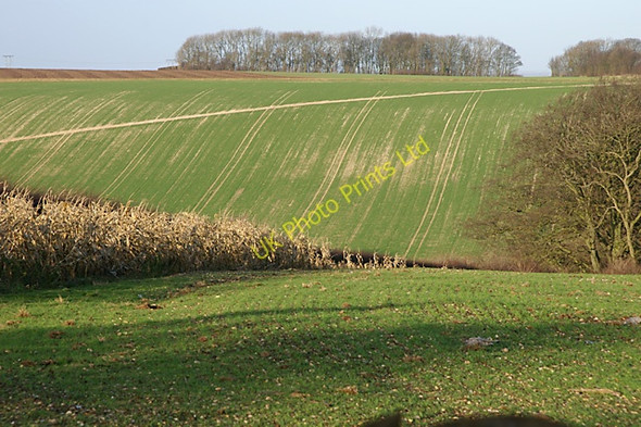 Photo 6"x4" Lines on the land Fotherby c2008