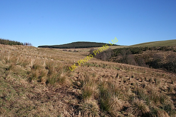 Photo 6"x4" Burn of Brownhill Ardonald c2008