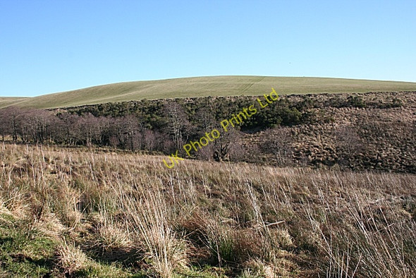 Photo 6"x4" Burn of Brownhill Ardonald c2008 P1