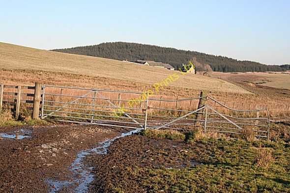 Photo 6"x4" Track from Cairnmore Ardonald c2008