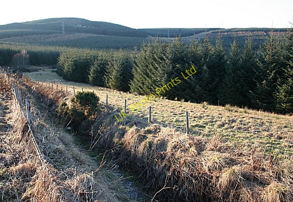 Photo 6"x4" Near Drumdelgie Cairnie\/NJ4844 c2008