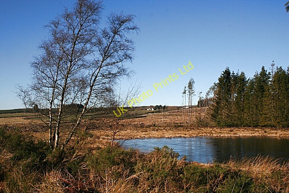 Photo 6"x4" Frozen Pond Ardonald c2008
