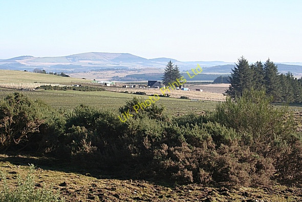 Photo 6"x4" Near Braehead Cairnie\/NJ4844 c2008 P1