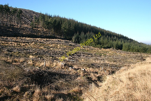 Photo 6"x4" Glack of Balloch Davoch of Grange c2008