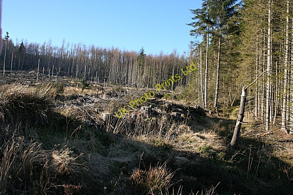Photo 6"x4" Balloch Burn Davoch of Grange c2008