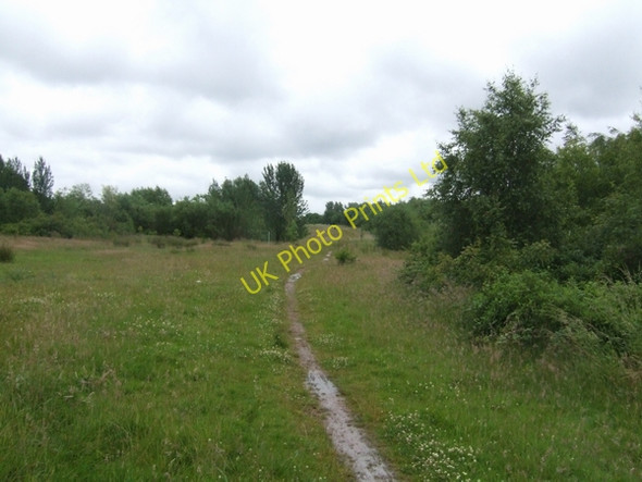 Photo 6"x4" Across the Country Park Bloxwich c2007