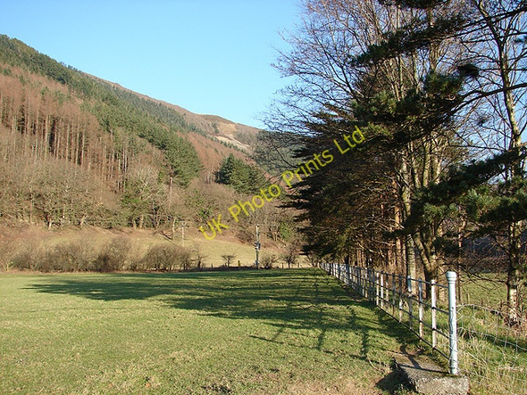 Photo 6"x4" Pasture and then forestry Aberffrwd\/SN6878 c2008