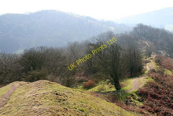 Photo 6"x4" The Southern Path down from Midsummer Hill Hollybush\/SO7636 c2008