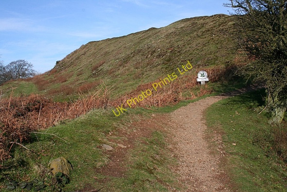 Photo 6"x4" The Iron-Age Ramparts on Midsummer Hill Hollybush\/SO7636 c2008