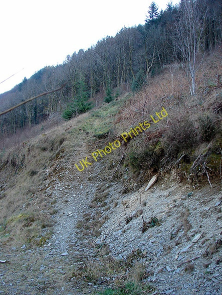 Photo 6"x4" Steep climb to Rheidol Falls station Aberffrwd\/SN6878 c2008