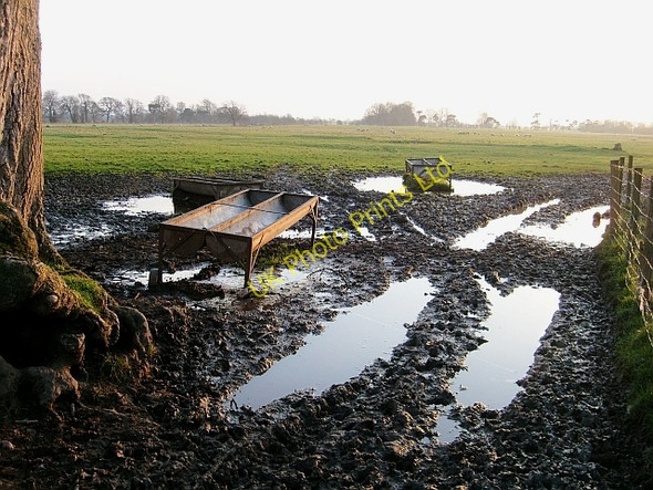 Photo 6"x4" Muddy footpath Barclose c2008