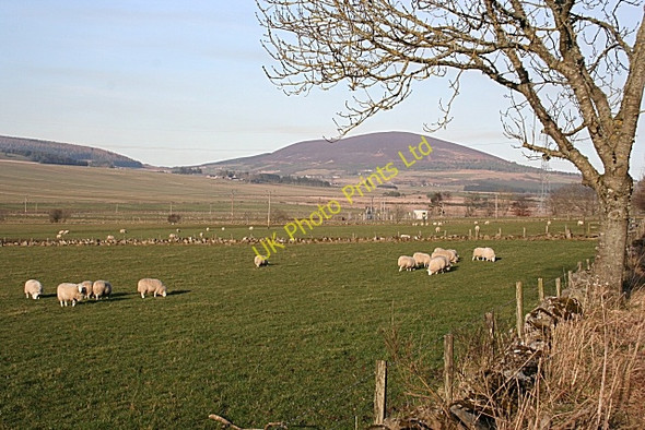 Photo 6"x4" Looking Towards Knock Hill Drumnagorrach c2008