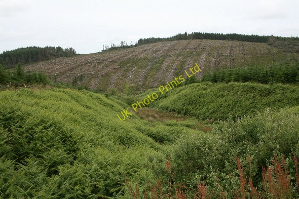 Photo 6"x4" Small Glen Northwest of Kerran Hill. Arinascavach c2007