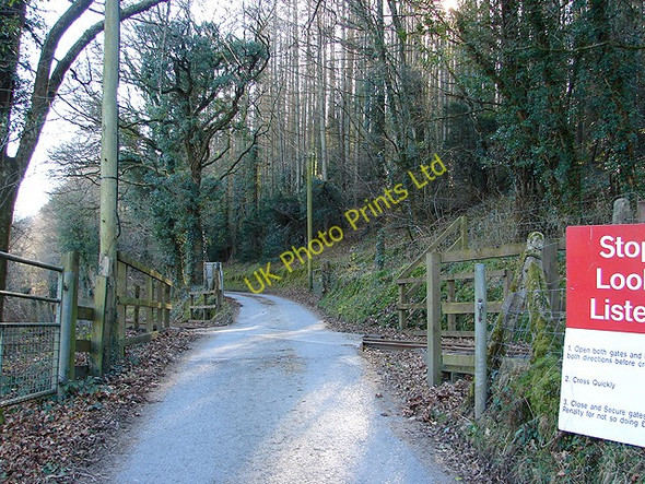 Photo 6"x4" The track to Rhiwarthen crossing the Vale of Rheidol Railway Capel Bangor c2008
