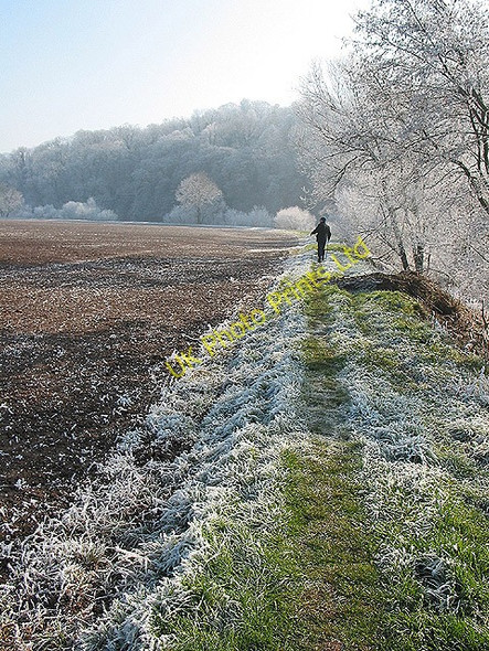 Photo 6"x4" Walking on a frosty morning Ballingham Hill c2008
