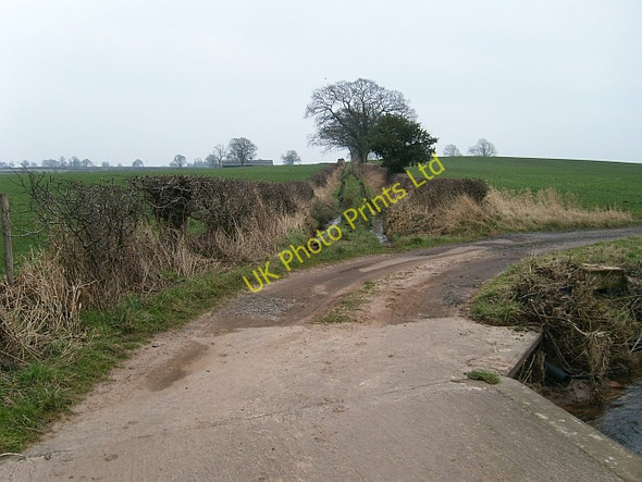Photo 6"x4" Bridleway from Scaleby Mill to Laversdale Laversdale c2008
