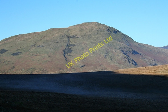 Photo 6"x4" Hen Comb Loweswater\/NY1420 c2008