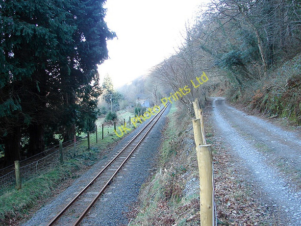 Photo 6"x4" Vale of Rheidol Railway Pant-y-cr\u00fbg c2008